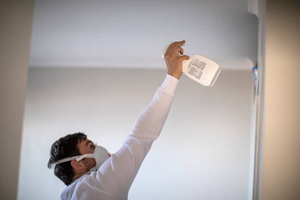 Best White Mold Remediation in Arlington Heights, WA