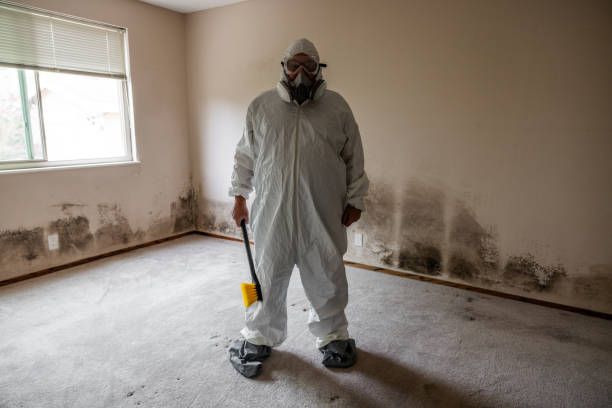 Health and Safety Mold Remediation